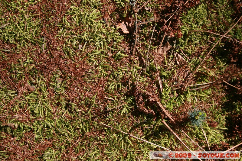 Fife - Ballingry
Ballingry, Fife, Scotland, United Kingdom
