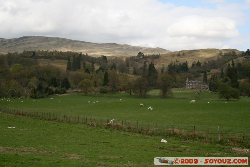 The Trossachs
A84, Stirling FK17 8, UK
