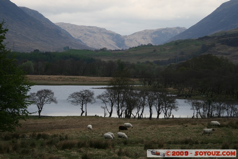 Argyll and Bute - Loch Awe
A819, Argyll and Bute PA32 8, UK
Mots-clés: Lac