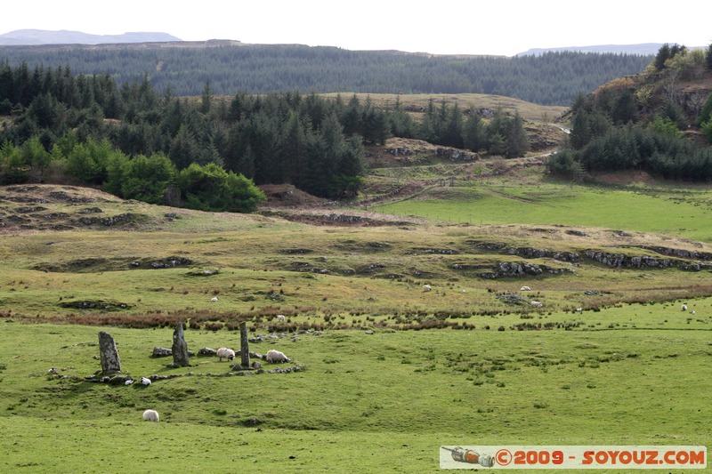 Mull - Glengorm - Standing Stones and sheep
Croig, Argyll and Bute, Scotland, United Kingdom
Mots-clés: Megalithique prehistorique animals Mouton