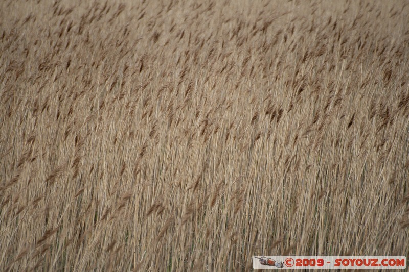 Skye - Loch
B8083, Highland IV49 9, UK
Mots-clés: Lac