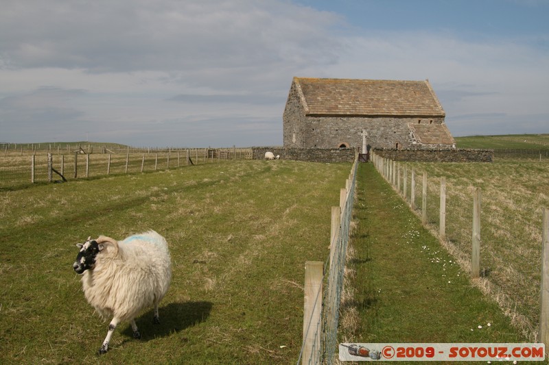 Hebridean Islands - Lewis - Eoropie - St Moluag's Church
B8014, Eilean Siar HS2 0, UK
Mots-clés: Eglise animals Mouton