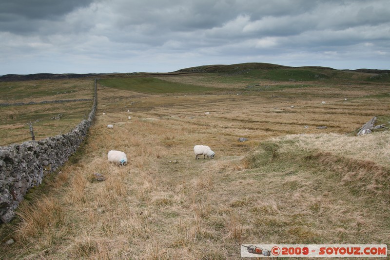 Hebridean Islands - Lewis - Callanish Standing Stones
Callanish, Western Isles, Scotland, United Kingdom
Mots-clés: Megalithique prehistorique