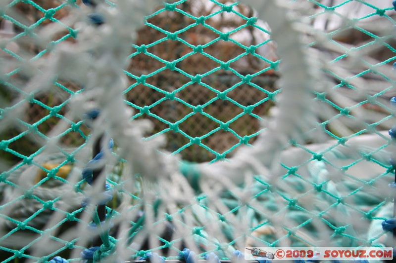 Highland - Dornie
Dornie, Highland, Scotland, United Kingdom
Mots-clés: pecheur