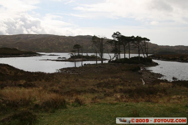 Highland - Loch Assynt
Inchnadamph, Highland, Scotland, United Kingdom
Mots-clés: paysage Lac