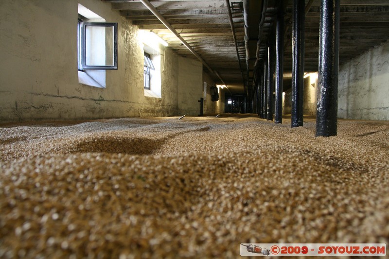 Orkney - Highland Park Distillery
A961, Orkney Islands KW17 2, UK
Mots-clés: usine