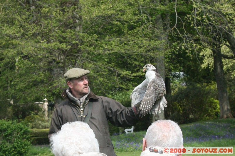 Highland - Dunrobin Castle - Birds of prey demonstration
Mots-clés: animals oiseau