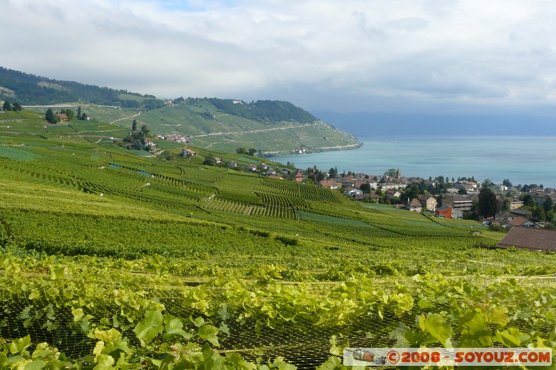 Grandvaux - vue sur les vignes et le lac Leman
Mots-clés: patrimoine unesco Lac vignes