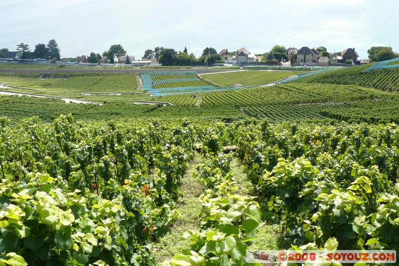 Grandvaux - vue sur les vignes et le lac Leman
Mots-clés: patrimoine unesco Lac vignes