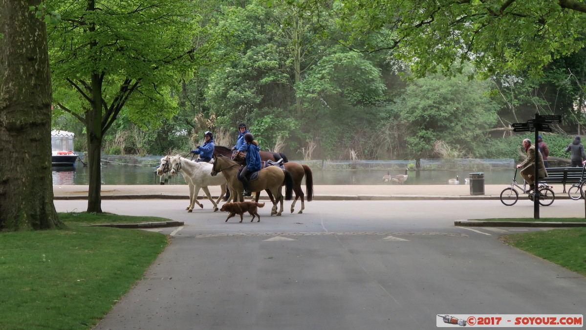 London - Hyde Park
Mots-clés: England GBR geo:lat=51.50677985 geo:lon=-0.16481303 geotagged Knightsbridge Knightsbridge and Belgravia Ward Royaume-Uni London Londres Hyde Park animals cheval