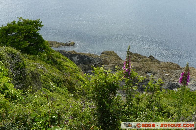 Polperro
Polperro, Cornwall, England, United Kingdom
