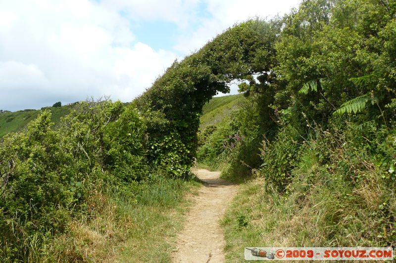 Polperro to Looe - coastal walk
Polperro, Cornwall, England, United Kingdom
