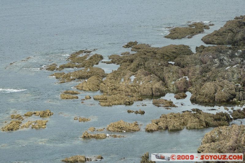 Polperro to Looe - coastal walk
Talland, England, United Kingdom
Mots-clés: mer