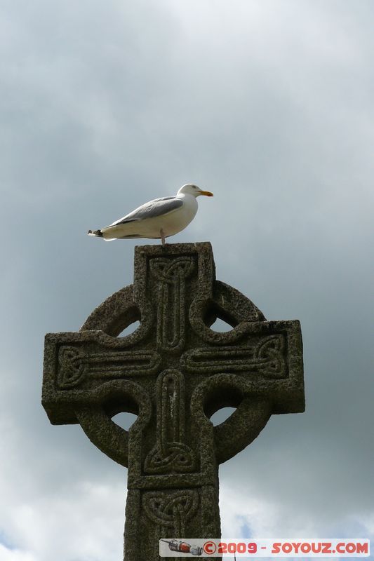 Looe - Seagull on the Cross
Looe, Cornwall, England, United Kingdom
Mots-clés: animals oiseau Goeland Eglise