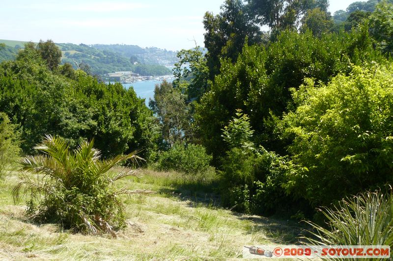 Greenway House
Dittisham, Devon, England, United Kingdom
Mots-clés: plante