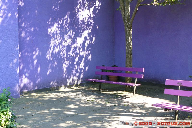 Totnes - Purple place
