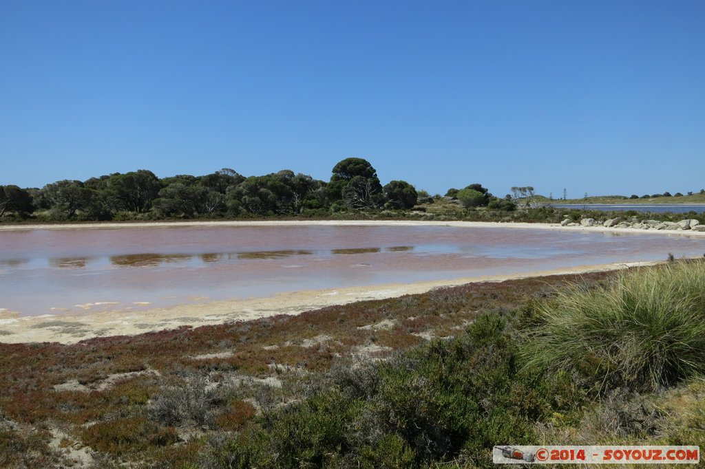 Rottnest Island - Pink Lake
Mots-clés: AUS Australie geo:lat=-31.99915971 geo:lon=115.51398754 geotagged Rottnest Island Western Australia Pink Lake Lac