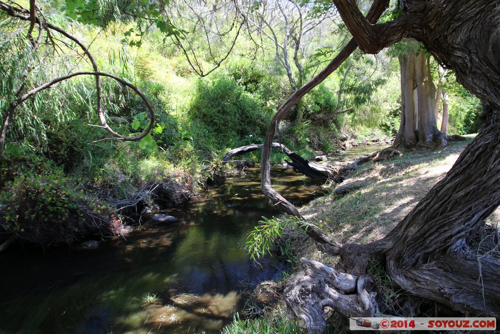 Margaret River - Ellensbrook Historic Cottage
Mots-clés: AUS Australie geo:lat=-33.91050729 geo:lon=114.99116171 geotagged Gracetown Prevelly Western Australia Margaret River Ellensbrook Historic Cottage