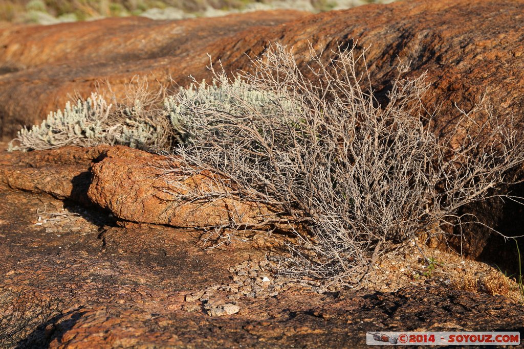 Margaret River - Cape Leeuwin
Mots-clés: Augusta AUS Australie Flinders Bay geo:lat=-34.36747207 geo:lon=115.13520593 geotagged Western Australia Margaret River Cape Leeuwin