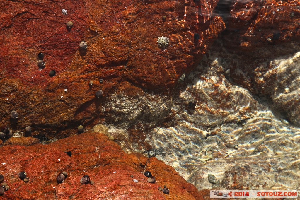 Margaret River - Yallingup - Canal Rocks
Mots-clés: AUS Australie geo:lat=-33.66907700 geo:lon=114.99537713 geotagged Western Australia Yallingup Margaret River Canal Rocks