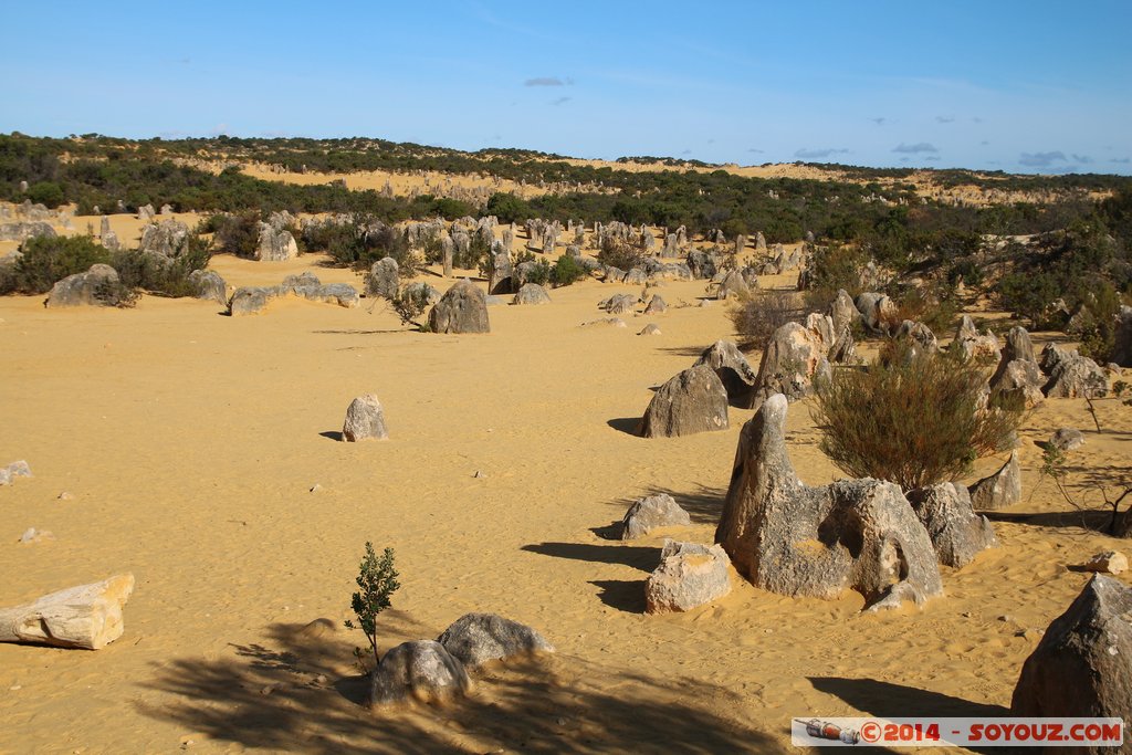 Nambung National Park  - The Pinnacles
Mots-clés: AUS Australie Cervantes geo:lat=-30.60301200 geo:lon=115.15691382 geotagged Western Australia Parc paysage