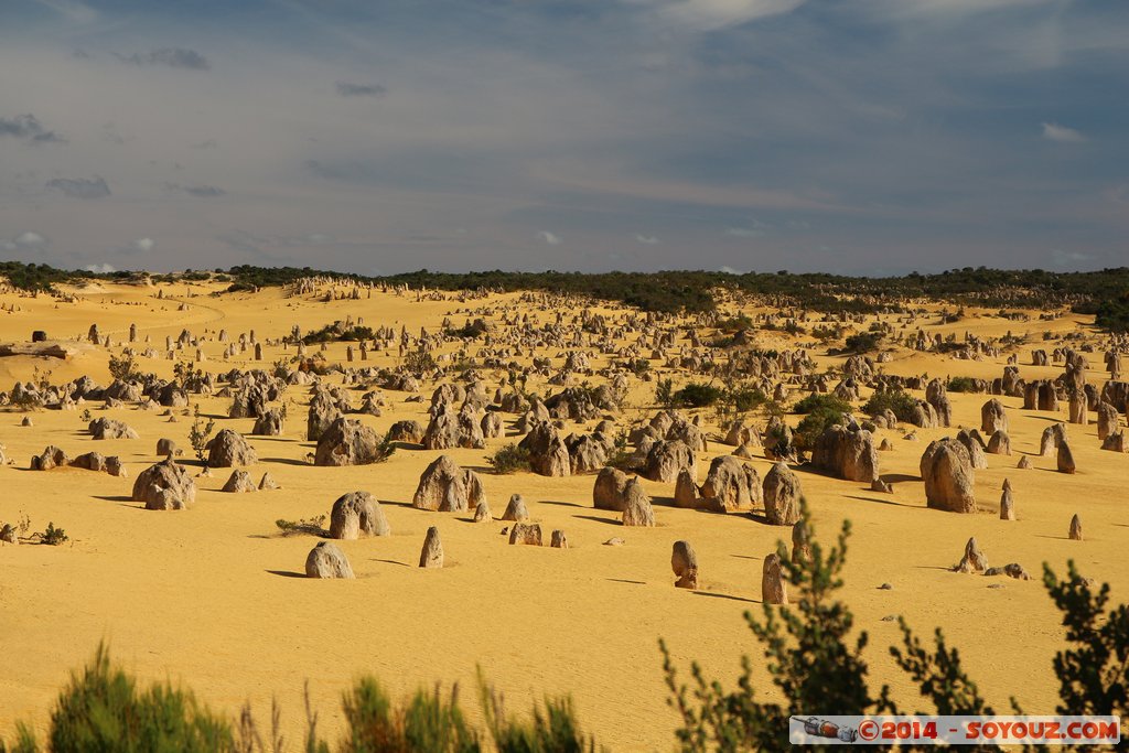 Nambung National Park  - The Pinnacles
Mots-clés: AUS Australie Cervantes geo:lat=-30.60257500 geo:lon=115.16146300 geotagged Western Australia Parc paysage
