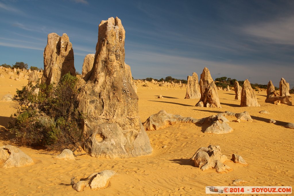 Nambung National Park  - The Pinnacles
Mots-clés: AUS Australie Cervantes geo:lat=-30.60297629 geo:lon=115.16261557 geotagged Western Australia Parc paysage