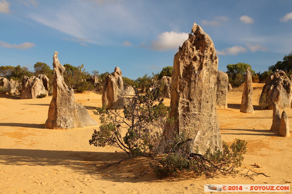 Nambung National Park  - The Pinnacles
Mots-clés: AUS Australie Cervantes geo:lat=-30.60578300 geo:lon=115.15738980 geotagged Western Australia Parc paysage