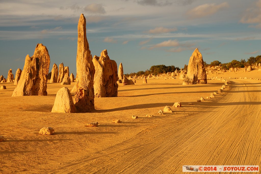 Nambung National Park  - The Pinnacles
Mots-clés: AUS Australie Cervantes geo:lat=-30.60580550 geo:lon=115.16300100 geotagged Western Australia Parc paysage
