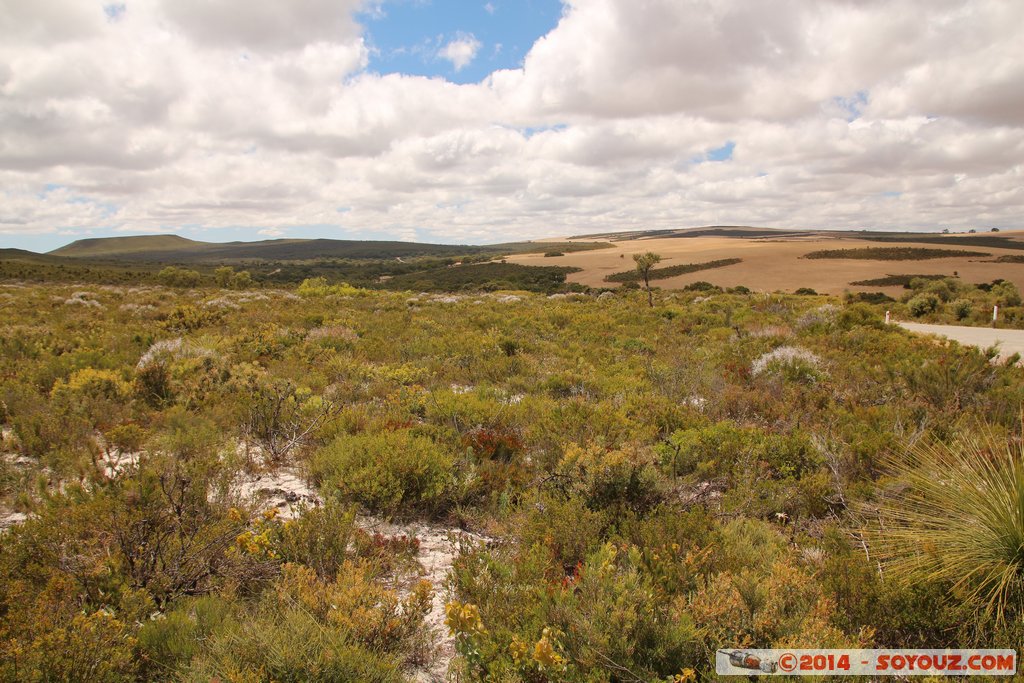 Lesueur National Park
Mots-clés: AUS Australie geo:lat=-30.18314520 geo:lon=115.16201080 geotagged Jurien Bay Western Australia Parc plante