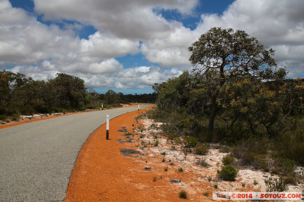 Lesueur National Park
Mots-clés: AUS Australie geo:lat=-30.17382209 geo:lon=115.19035224 geotagged Jurien Bay State of Western Australia Parc plante