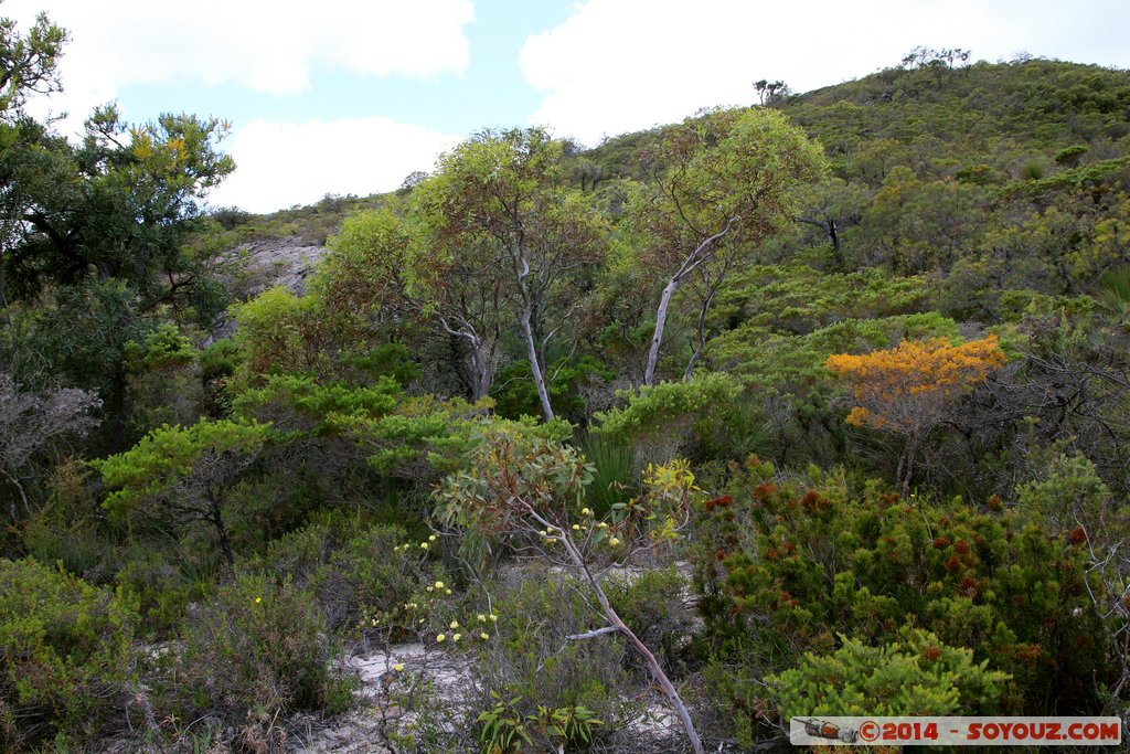 Lesueur National Park
Mots-clés: AUS Australie geo:lat=-30.16437825 geo:lon=115.19921425 geotagged Jurien Bay State of Western Australia Parc plante