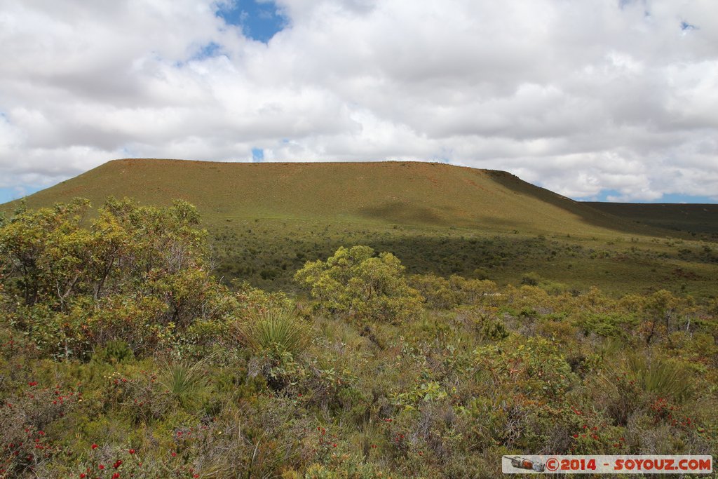Lesueur National Park
Mots-clés: AUS Australie geo:lat=-30.16477571 geo:lon=115.19931200 geotagged Jurien Bay State of Western Australia Parc plante