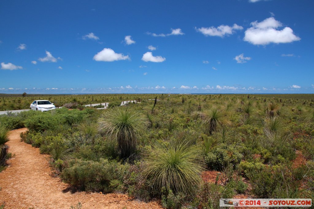 Lesueur National Park
Mots-clés: AUS Australie geo:lat=-30.14951060 geo:lon=115.12175680 geotagged Green Head Western Australia Parc