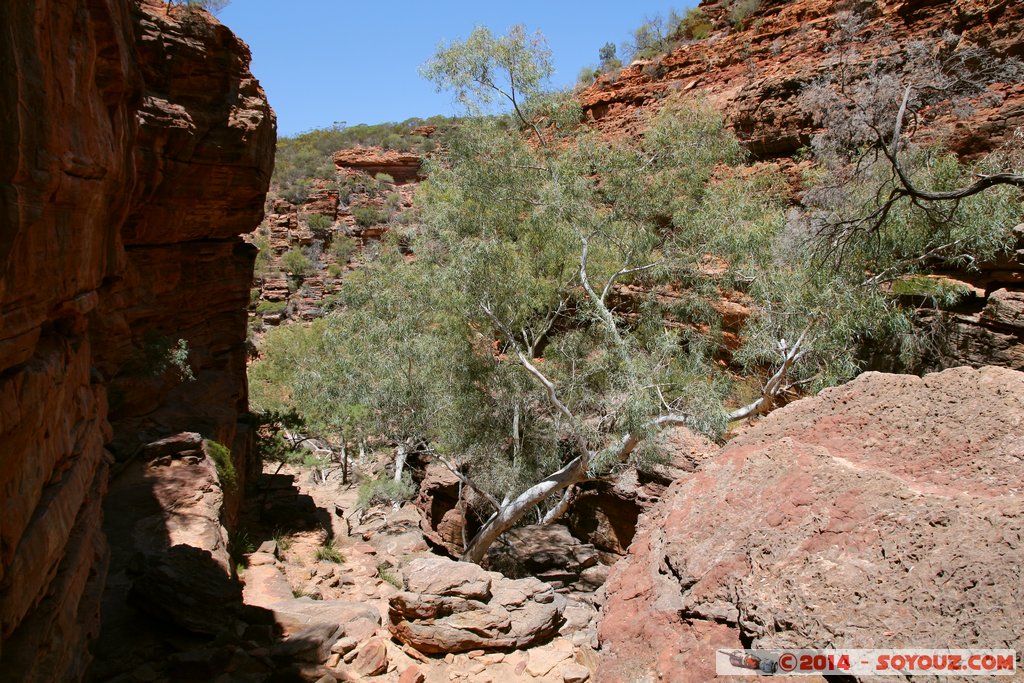 Kalbarri National Park - Z Bend
Mots-clés: AUS Australie geo:lat=-27.65473864 geo:lon=114.45557318 geotagged Kalbarri Western Australia Parc national paysage Z Bend