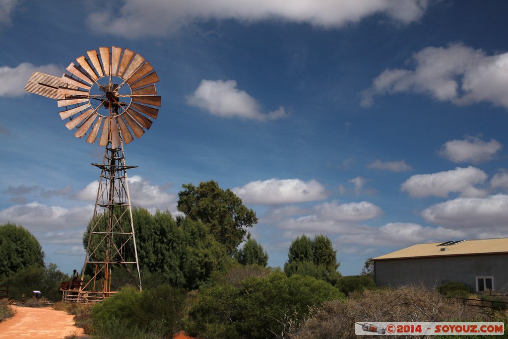 Shark Bay - Francois Peron National Park - Homestead precinct
Mots-clés: AUS Australie Denham geo:lat=-25.83879320 geo:lon=113.55629300 geotagged Western Australia Peron Homestead precinct Francois Peron National Park Eolienne