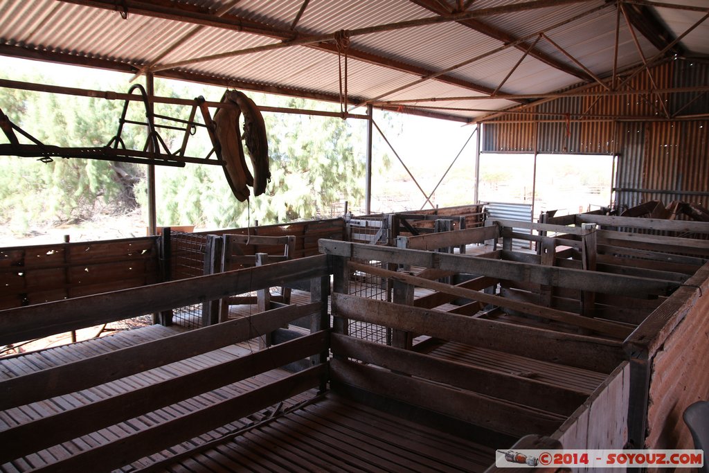 Shark Bay - Francois Peron National Park - Homestead precinct
Mots-clés: AUS Australie Denham geo:lat=-25.84021835 geo:lon=113.55673335 geotagged Western Australia Peron Homestead precinct Francois Peron National Park