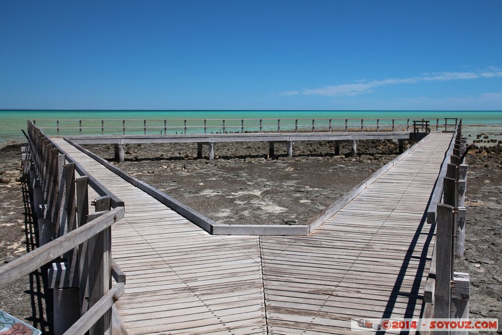 Shark Bay - Hamelin Pool - Stromatolites
Mots-clés: AUS Australie geo:lat=-26.40052336 geo:lon=114.15893664 geotagged Gladstone Western Australia Shark Bay patrimoine unesco Hamelin Pool Stromatolites Pont mer