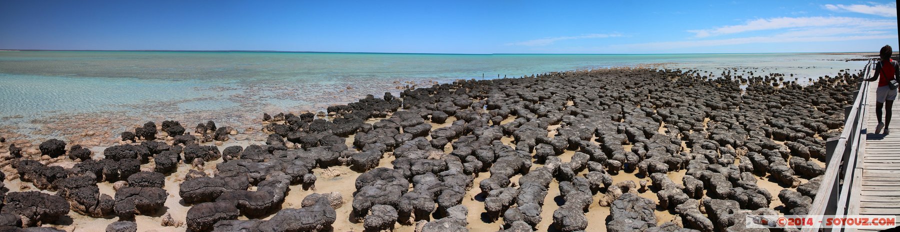 Shark Bay - Hamelin Pool - Stromatolites
Stitched Panorama
Mots-clés: AUS Australie geo:lat=-26.40032367 geo:lon=114.15893000 geotagged Gladstone State of Western Australia Western Australia Shark Bay patrimoine unesco Hamelin Pool Stromatolites mer