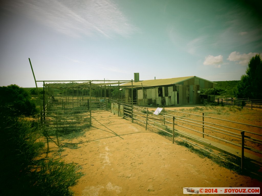 Shark Bay - Francois Peron National Park - Homestead precinct
Mots-clés: AUS Australie Denham geo:lat=-25.84028000 geo:lon=113.55682800 geotagged Western Australia Peron Homestead precinct Francois Peron National Park Art picture