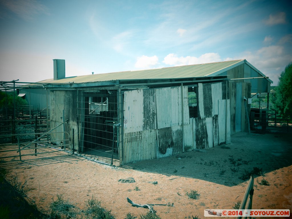 Shark Bay - Francois Peron National Park - Homestead precinct
Mots-clés: AUS Australie Denham geo:lat=-25.84016891 geo:lon=113.55677164 geotagged Western Australia Peron Homestead precinct Francois Peron National Park Art picture