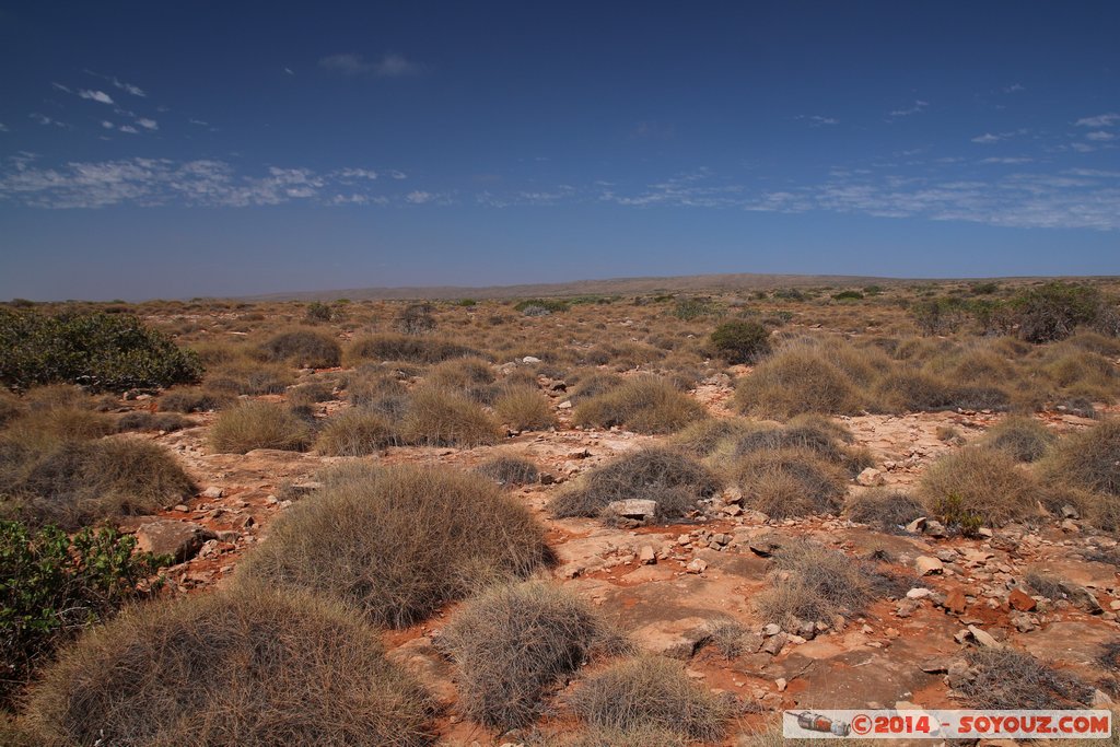 Cap Range National Park - Yardie Creek
Mots-clés: AUS Australie Bundera Bundera geo:lat=-22.32502440 geo:lon=113.81583900 geotagged Western Australia Cap Range Cap Range National Park Yardie Creek