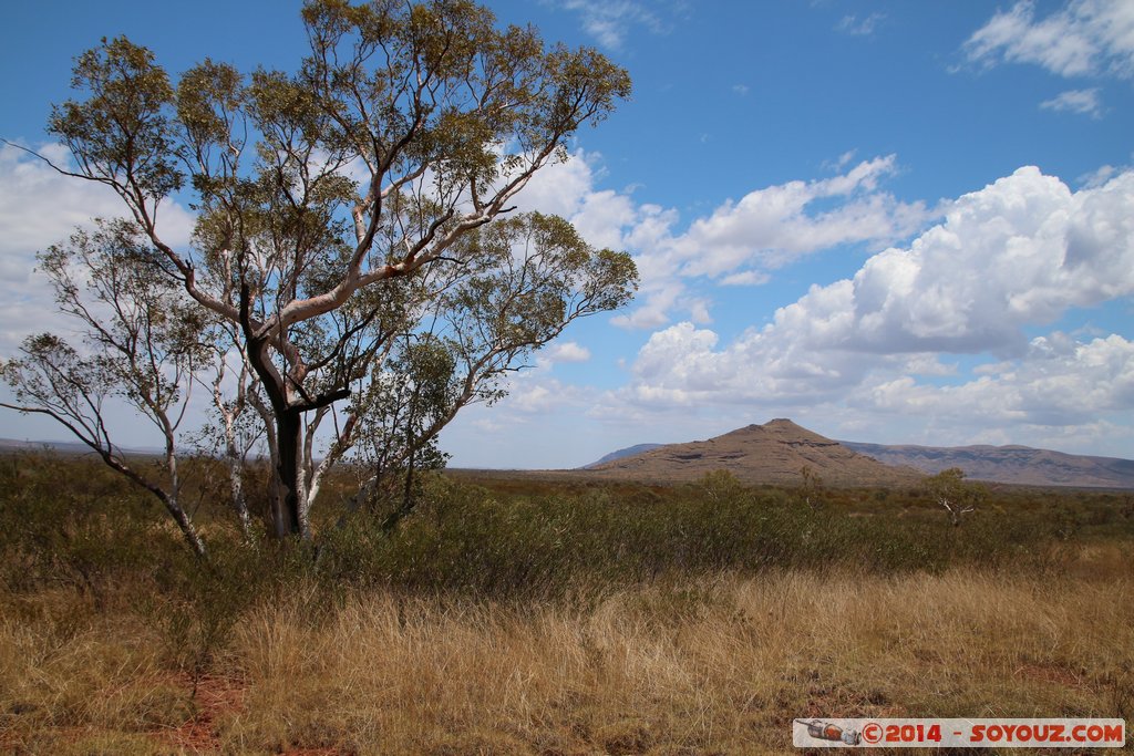 Karijini National Park - Mount Bruce Area - Marandoo View
Mots-clés: AUS Australie geo:lat=-22.59976039 geo:lon=118.10243136 geotagged Tom Price Western Australia Karijini National Park Karijini Mount Bruce Area