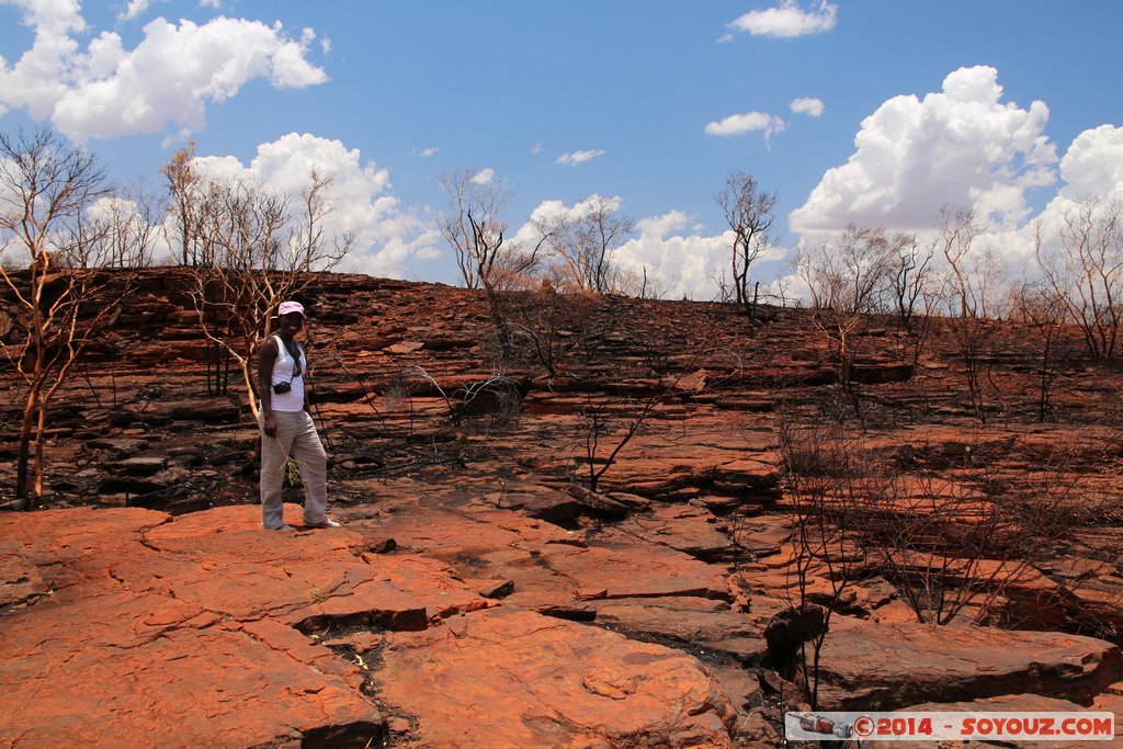 Karijini National Park - Joffre Falls
Mots-clés: AUS Australie geo:lat=-22.39083000 geo:lon=118.26788360 geotagged Paraburdoo Western Australia Wittenoom Karijini National Park Karijini Joffre Falls