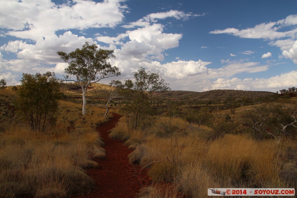 Karijini National Park - Weano Gorge
Mots-clés: AUS Australie geo:lat=-22.35368433 geo:lon=118.28486900 geotagged Paraburdoo Western Australia Wittenoom Karijini National Park Karijini Weano Gorge Arbres