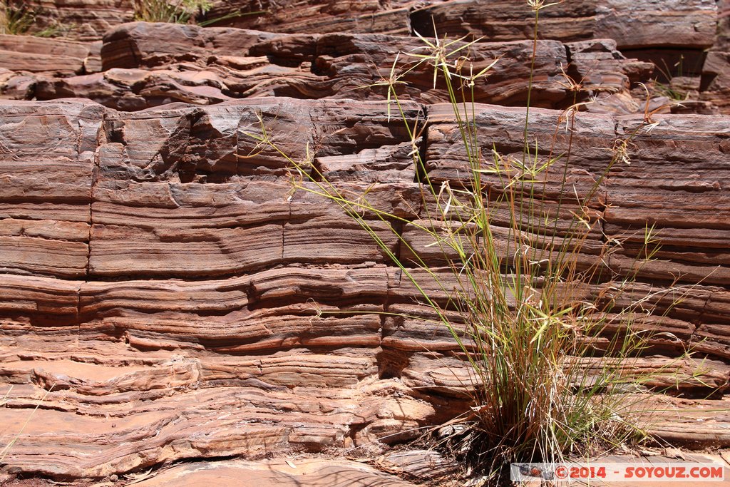 Karijini National Park - Dales Gorges - Forlesque Falls
Mots-clés: AUS Australie geo:lat=-22.47772719 geo:lon=118.55072000 geotagged Wittenoom Western Australia Karijini National Park Karijini Dales Gorges Forlesque Falls cascade