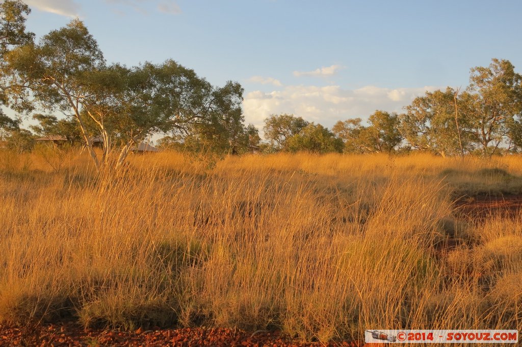 Karijini National Park - Eco Retreat
Mots-clés: AUS Australie geo:lat=-22.38634906 geo:lon=118.26759696 geotagged Paraburdoo Western Australia Wittenoom Karijini National Park Karijini Karinjini Eco Retreat