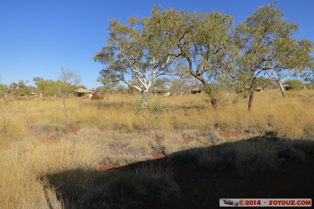 Karijini National Park - Eco Retreat
Mots-clés: AUS Australie geo:lat=-22.38634906 geo:lon=118.26759696 geotagged Paraburdoo Western Australia Wittenoom Karijini National Park Karijini Karinjini Eco Retreat Camping Arbres