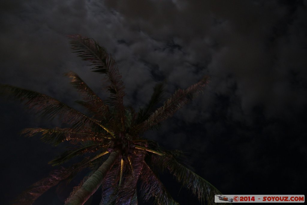 Darwin - Vestys Beach by Night
Mots-clés: geo:lat=-12.43567000 geo:lon=130.83342700 geotagged sunset Darwin AUS Australie Northern Territory Bicentennial Park Nuit Palmier