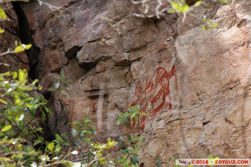Kakadu National Park - Bardedjilidji walk
Mots-clés: AUS Australie geo:lat=-12.43529733 geo:lon=132.96922700 geotagged Gunbalanya Northern Territory Kakadu National Park patrimoine unesco East Alligator region Bardedjilidji walk